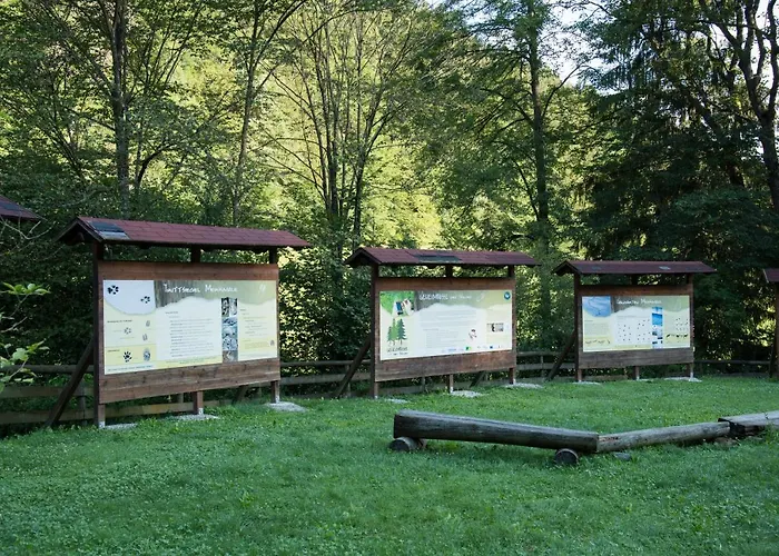 Jufa Bruck An Der - Im Weitental Bruck an der Mur